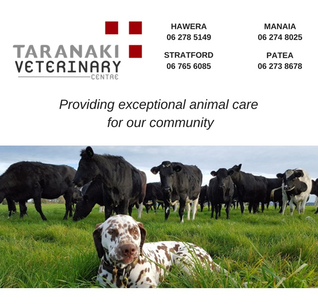 Taranaki Veterinary Centre Manaia - Manaia Primary School - Aug 23
