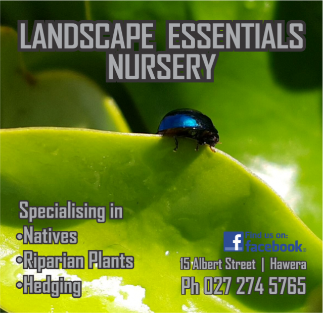 Landscape Essentials Nursery - Manaia Primary School - Oct 23